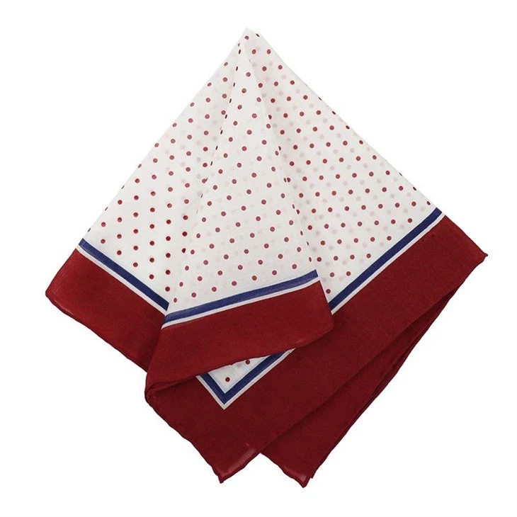 2 Designer Pocket Squares(001)