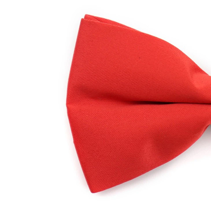 Trendy Bow Tie
